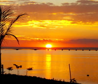 Paisagem do Lago de Itá ao pôr do sol, com palmeiras e passarela ao fundo.