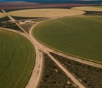 Paisagem agrícola em Formosa do Rio Preto BA, destacando o agronegócio local.