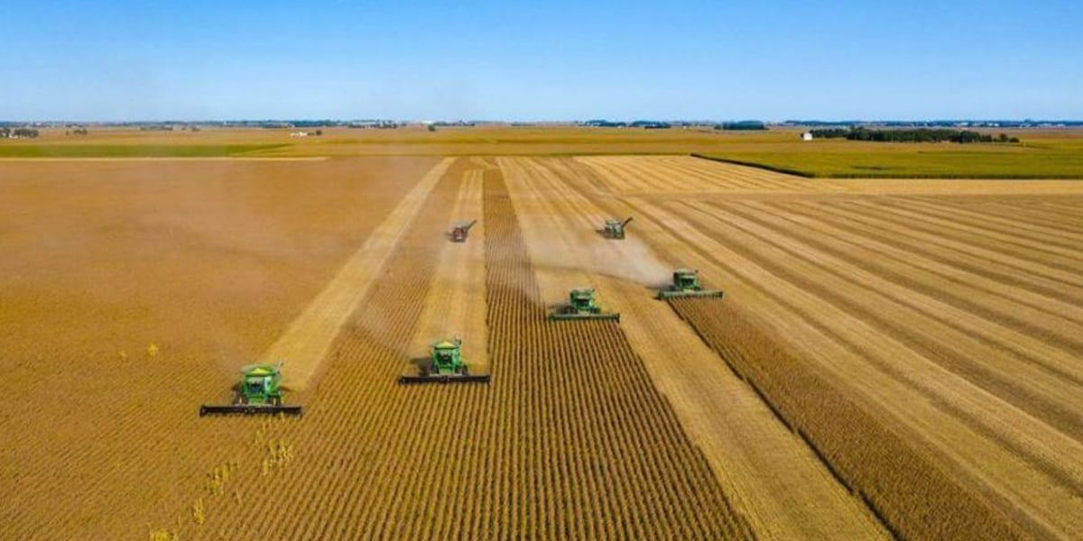 Colheitadeiras em lavoura no Oeste catarinense