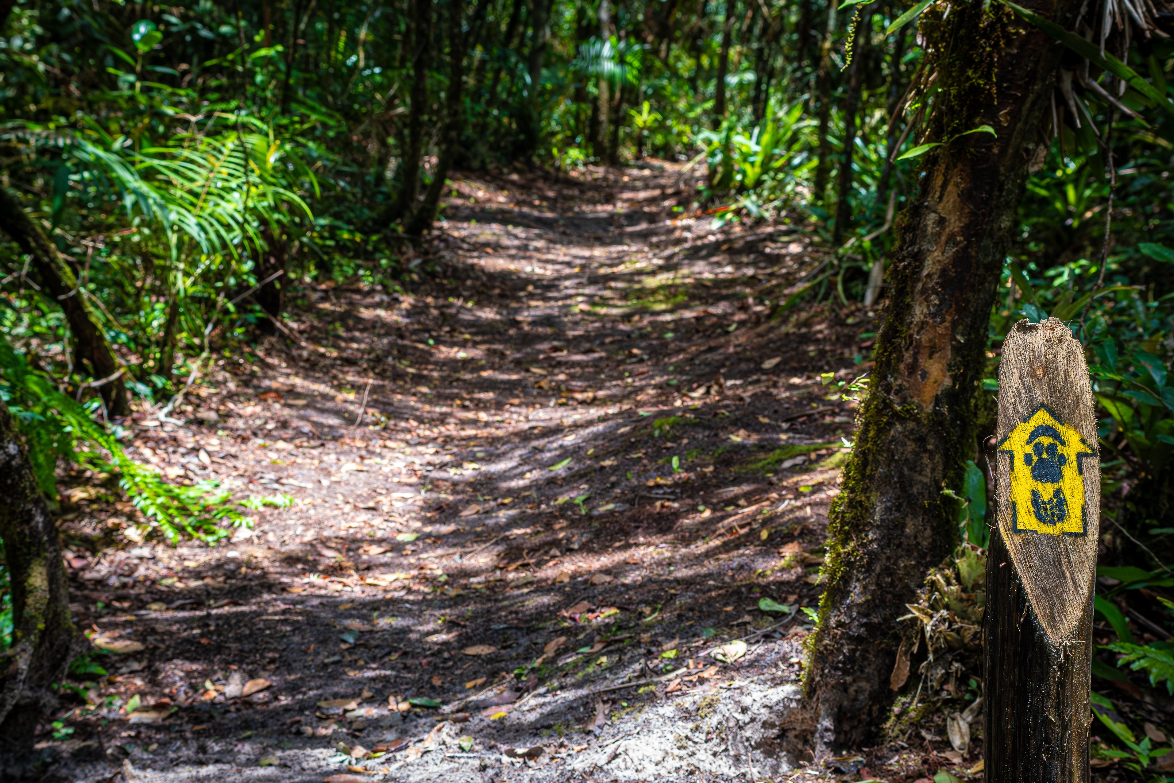 Entrada de trilha em área de conservação no Brasil, com sinalização e vegetação densa