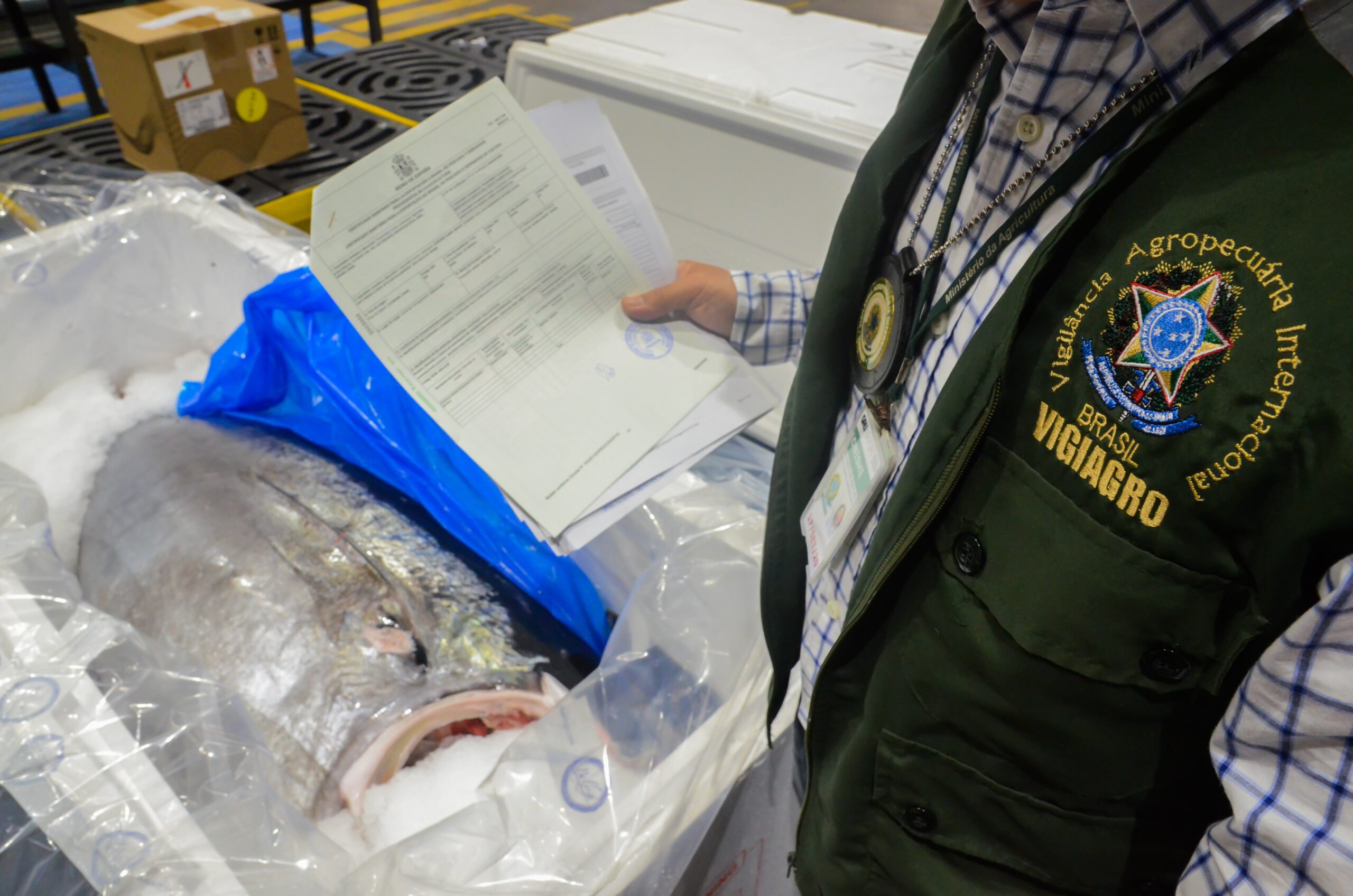 Profissional em inspeção sanitária em agroindústria