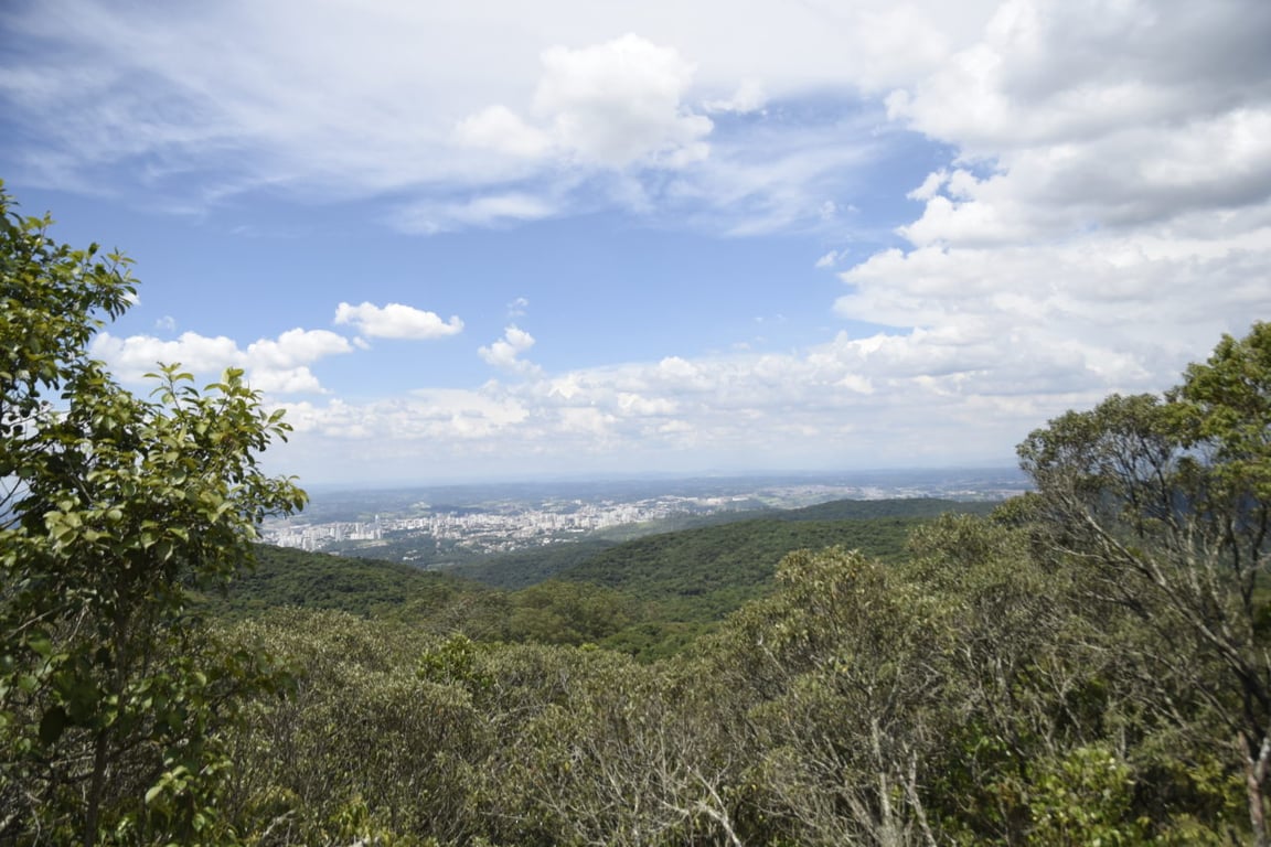 Vista panorâmica de Jundiaí, com áreas verdes e skyline urbano ao fundo