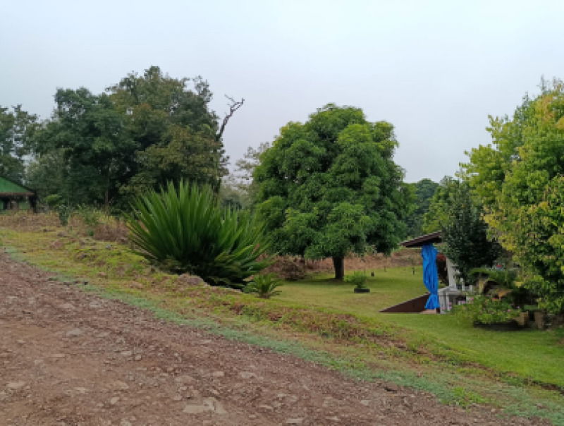 Paisagem rural no norte do Rio Grande do Sul, representando a região de Vicente Dutra