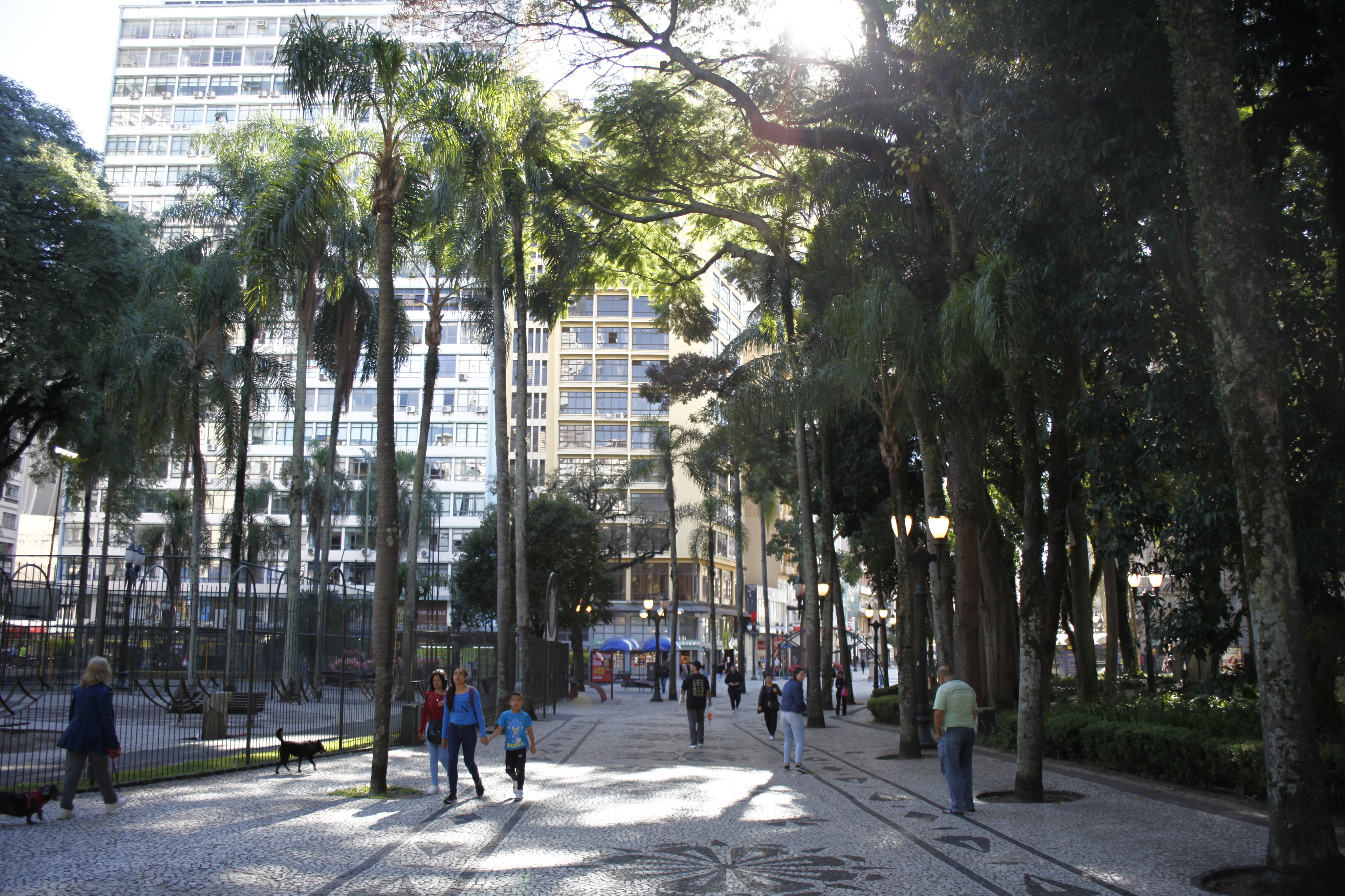 Praça central arborizada, imagem ilustrativa.