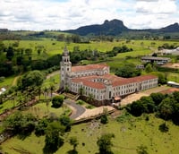 Vista aérea da Igreja Matriz do Divino Espírito Santo, em Claraval MG, com vegetação ao redor