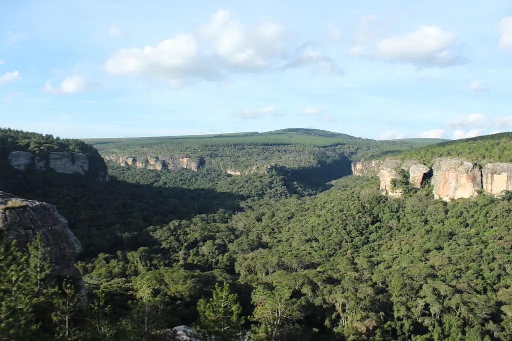 Rodovia e vegetação do Norte Pioneiro do Paraná ao entardecer, com morros suaves no horizonte