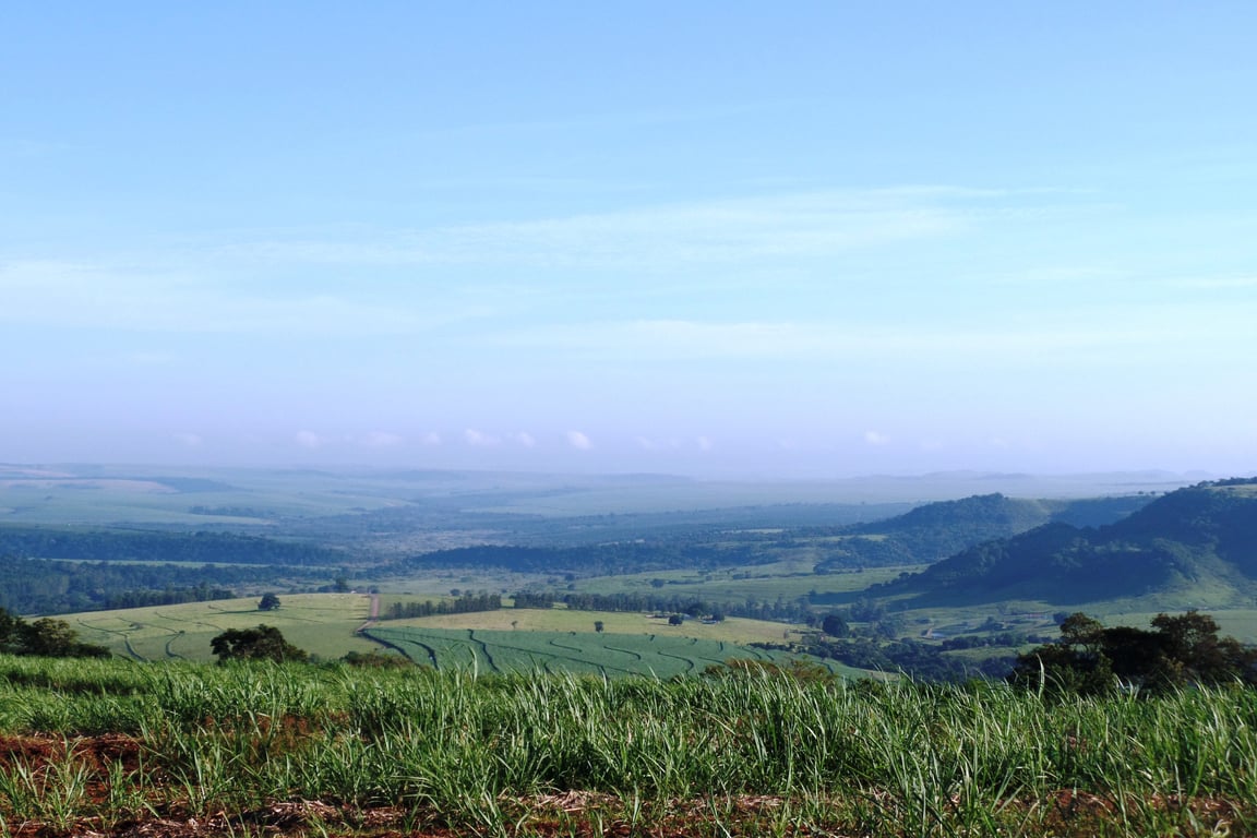 Cuesta de Botucatu com vegetação de cerrado, estrada e céu azul.