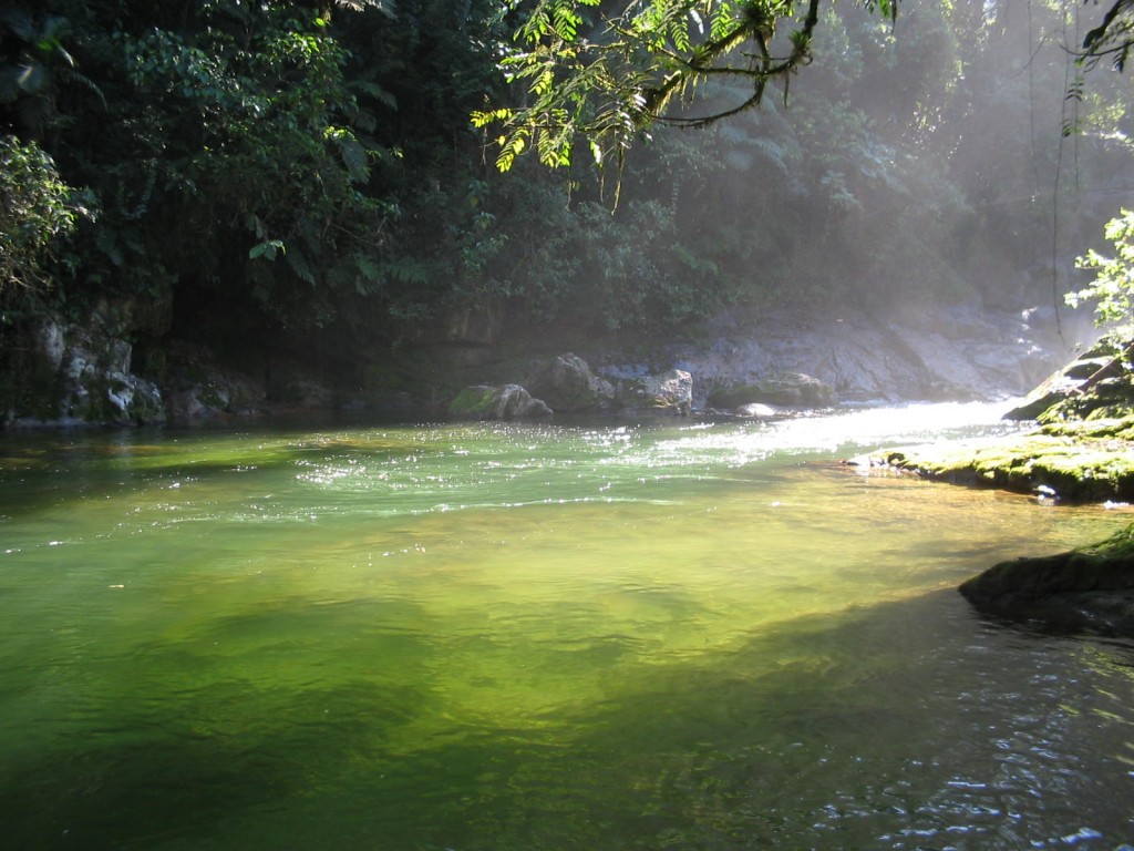 Rio e vegetação preservada na Mata Atlântica de São Miguel Arcanjo SP