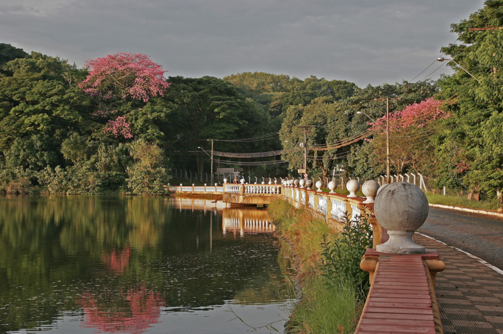 Campus da USP em Ribeirão Preto ao entardecer, com áreas verdes e lago