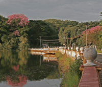 Campus da USP em Ribeirão Preto ao entardecer, com áreas verdes e lago