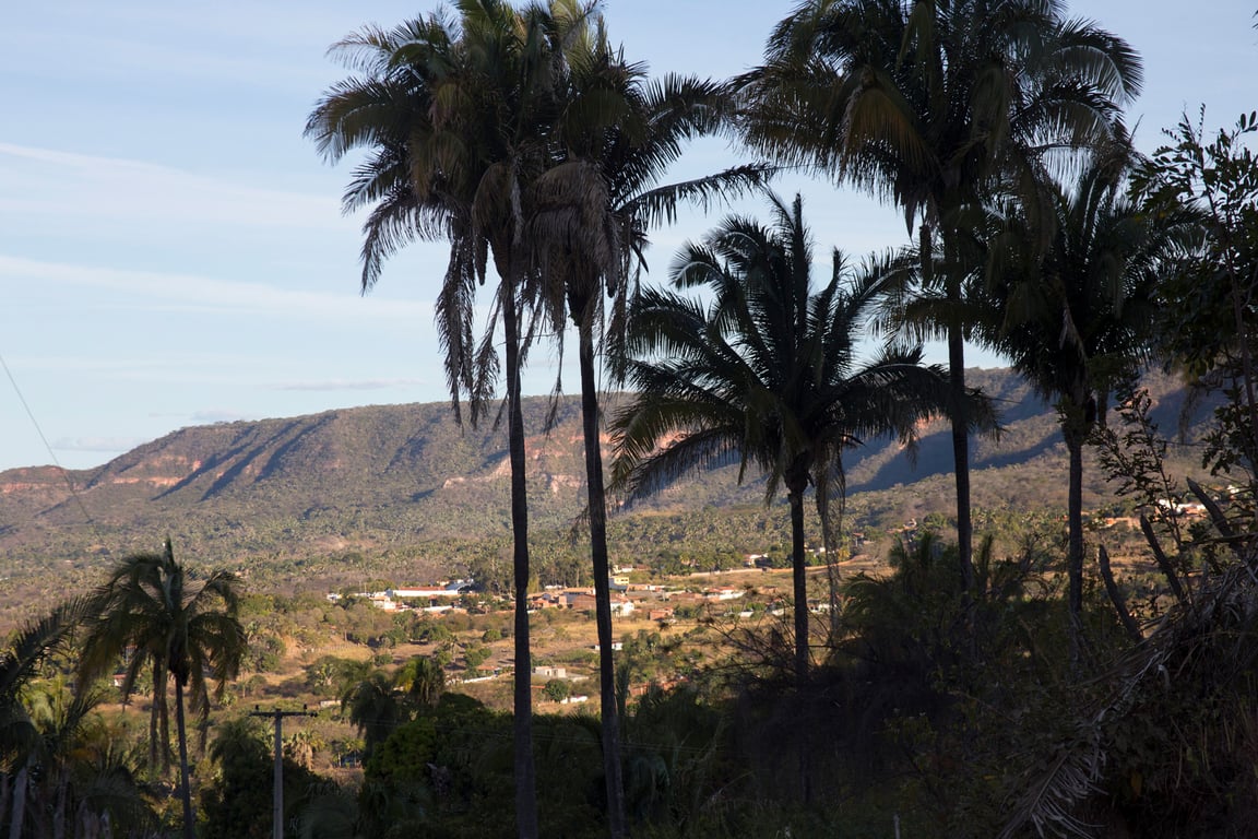Paisagem do Cariri cearense ao entardecer, com vegetação de caatinga e pequena área urbana ao fundo