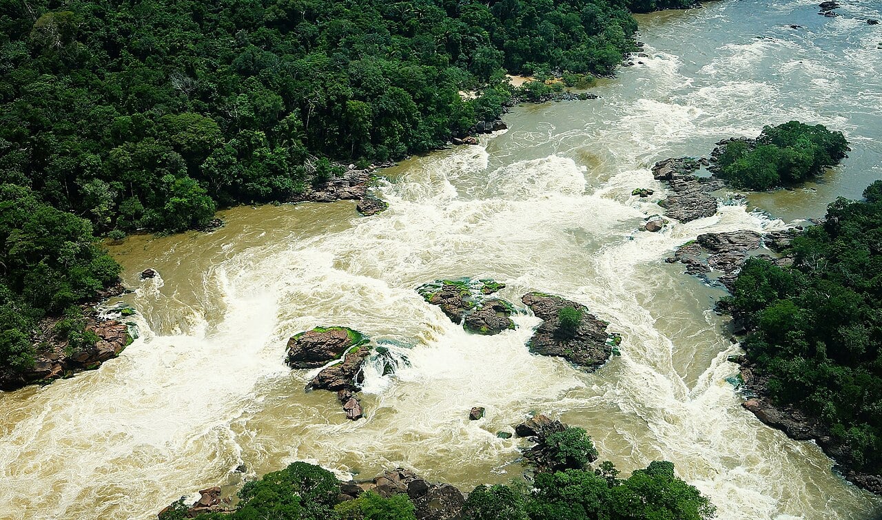 Paisagem do rio Teles Pires, com vegetação de floresta e espelho d'água em perspectiva horizontal