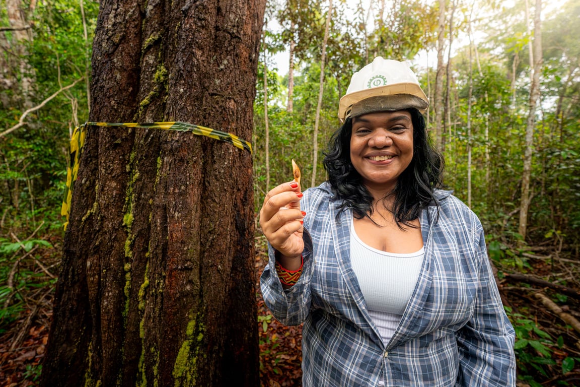 Profissional realiza inspeção ambiental em floresta densa no interior do Amazonas