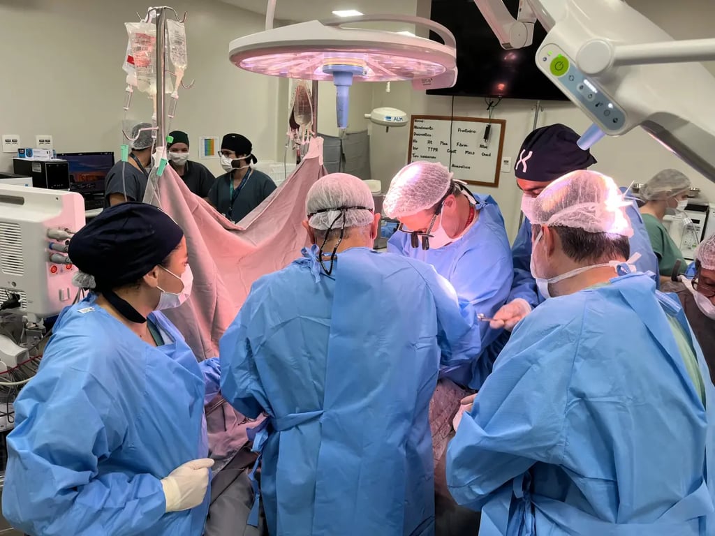 Profissionais atuando em ambiente clínico do SUS