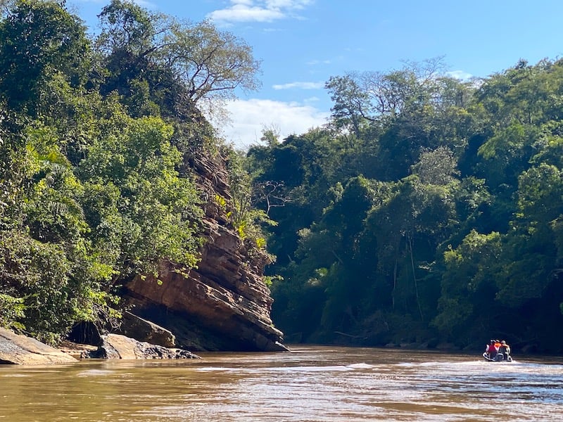 Paisagem pantaneira em Mato Grosso do Sul