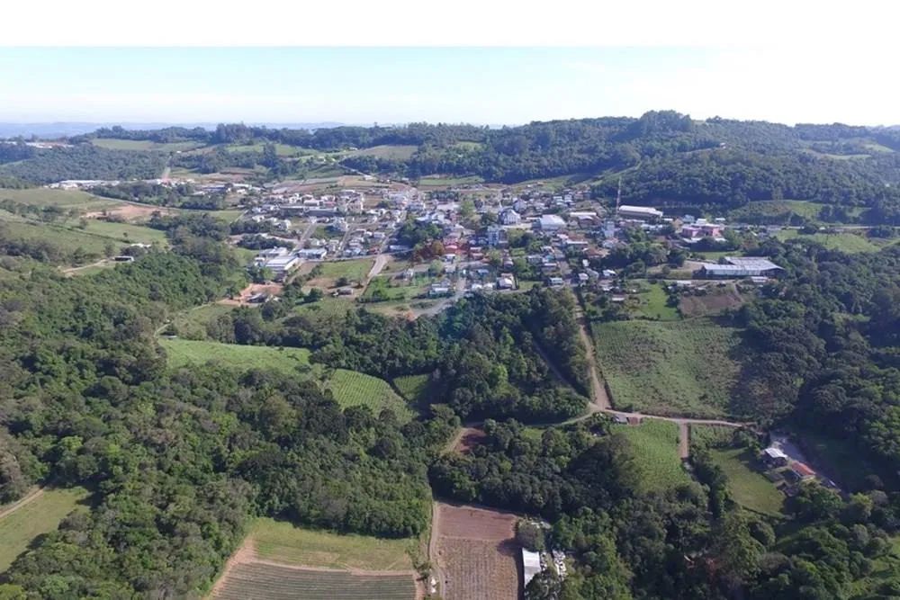 Vista urbana de Nova Pádua, com áreas rurais e parreirais ao entorno, em fotografia aérea horizontal
