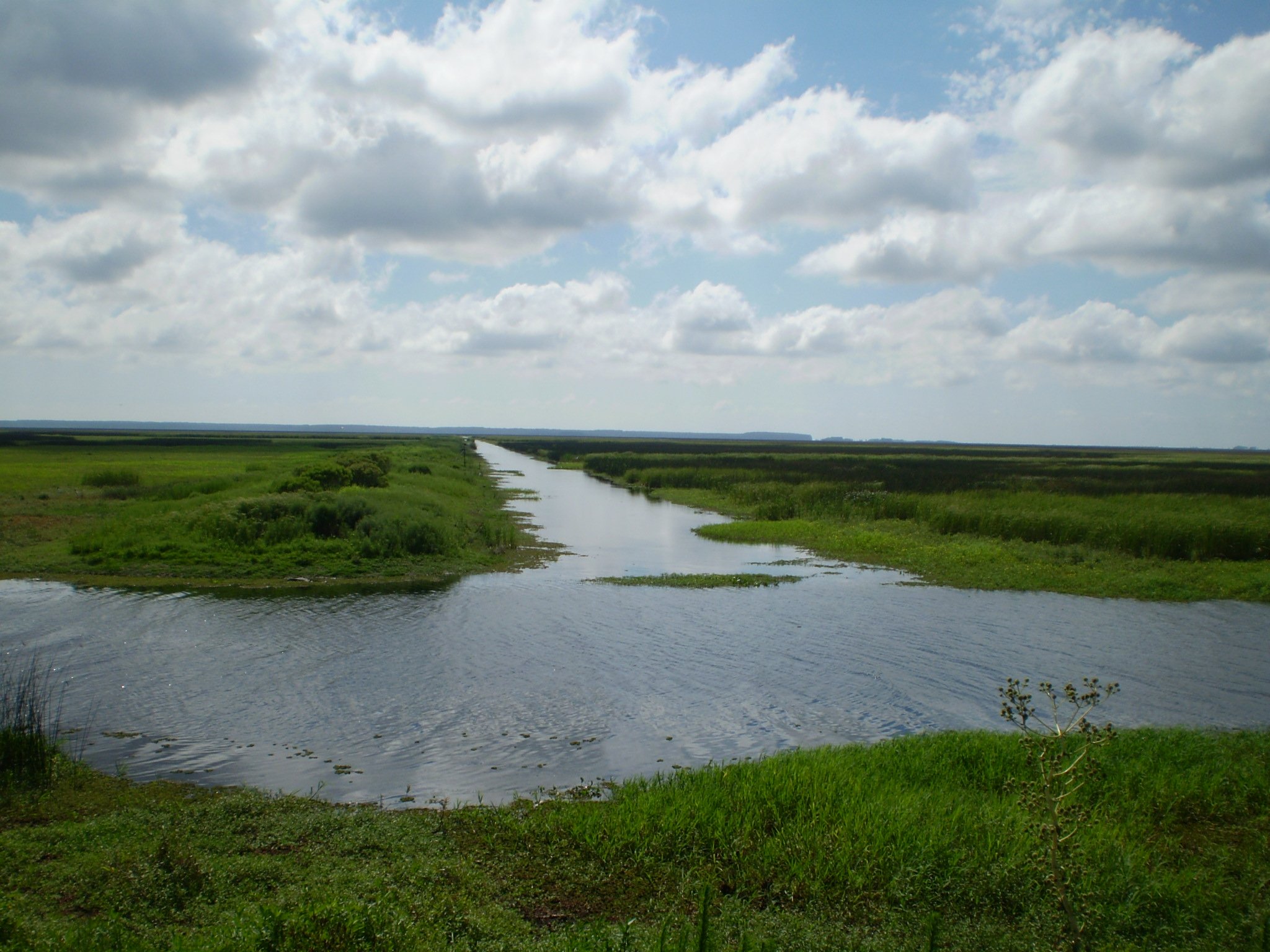 BR-471 margeando áreas alagadas na região da ESEC Taim, entre Rio Grande e Santa Vitória do Palmar RS, sob céu aberto