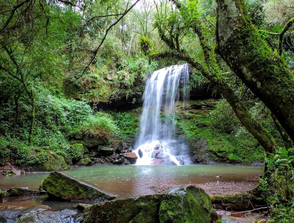 Paisagem no sul do Rio Grande do Sul