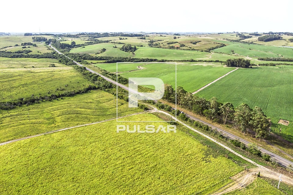 Plantação de soja e silo à distância, sob luz de fim de tarde, representando a força do agro no Noroeste gaúcho