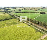 Plantação de soja com silos ao fundo ao entardecer, representando o agro no Noroeste do Rio Grande do Sul