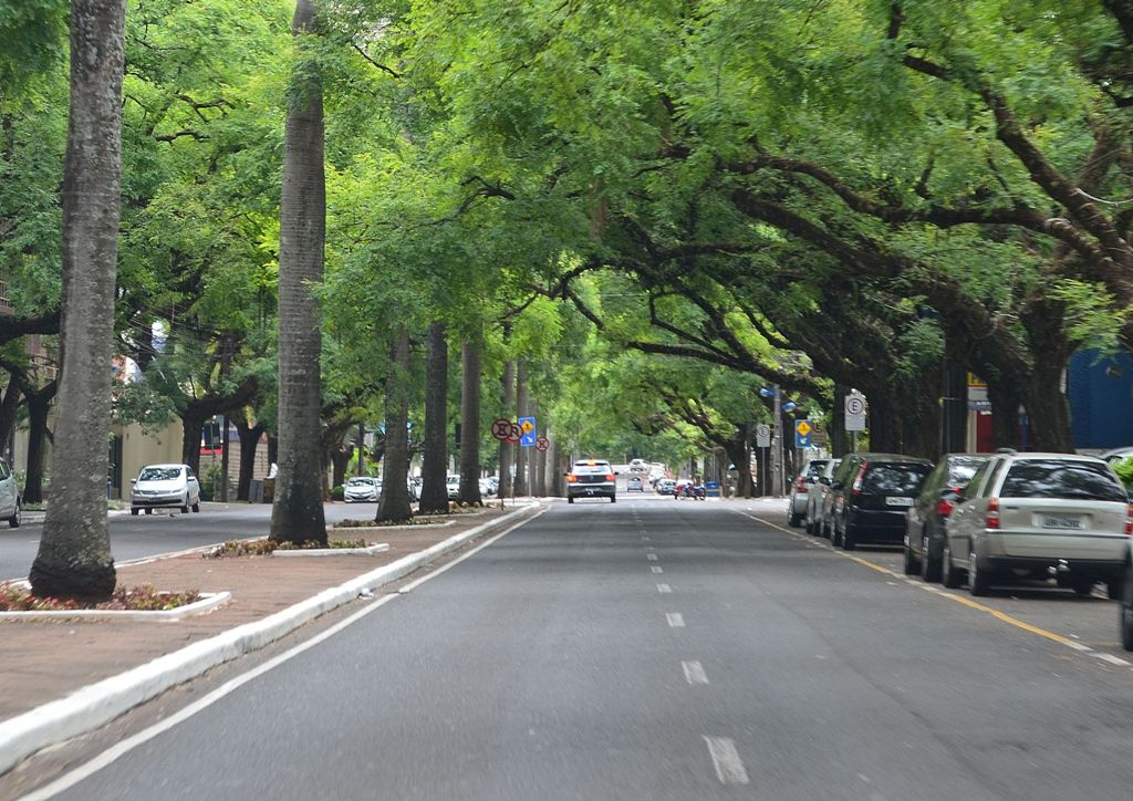 Cena urbana arborizada de Juiz de Fora MG