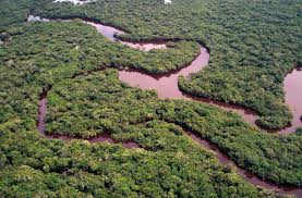Amazônia e seus cursos d’água