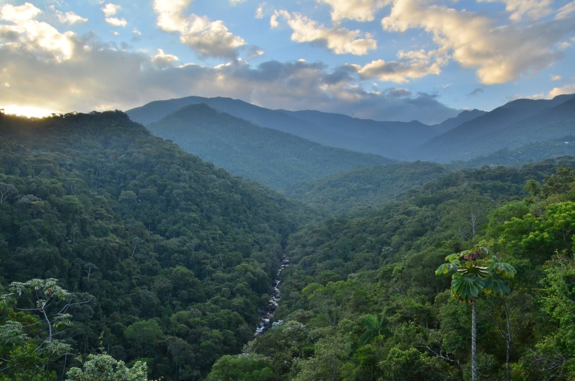É uma imagem do post com o título ICMBio abre processo seletivo para agente temporário ambiental no Parque Nacional do Itatiaia