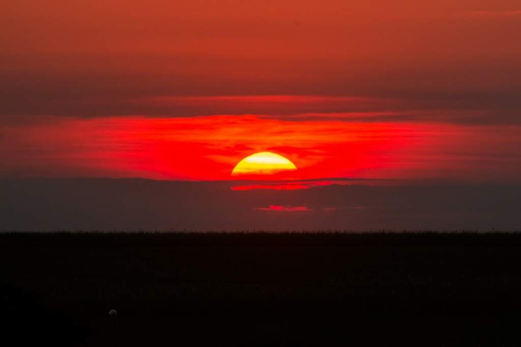 Estrada no interior do MS ao pôr do sol, com áreas de plantio e pastagens