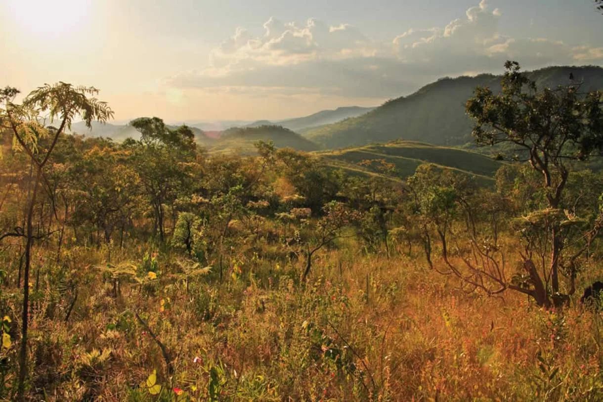 Paisagem do Cerrado no sul do Piauí, com chapadas e vegetação típica ao pôr do sol
