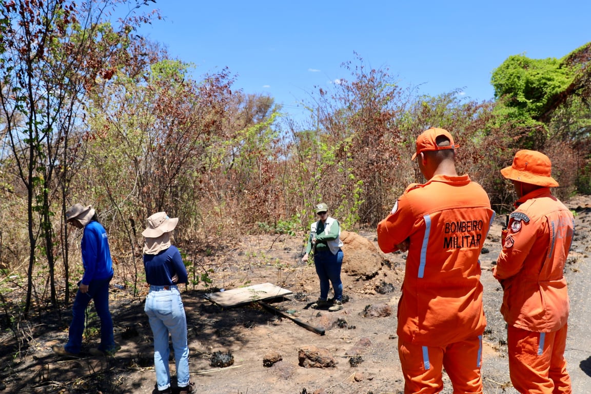 Brigadistas em ação no Cerrado