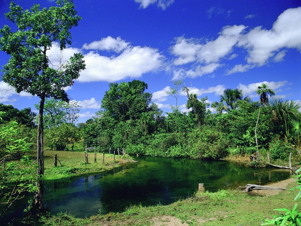 Cenário natural de Chapada Gaúcha MG e arredores do Cerrado, com corpo d’água e vegetação nativa