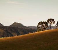 Paisagem rural no interior de Santa Catarina, estado com forte vocação agropecuária.