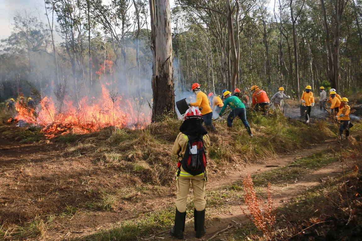 Brigadistas de combate a incêndios florestais trabalhando em trilha no Paraná, com mochilas e ferramentas.