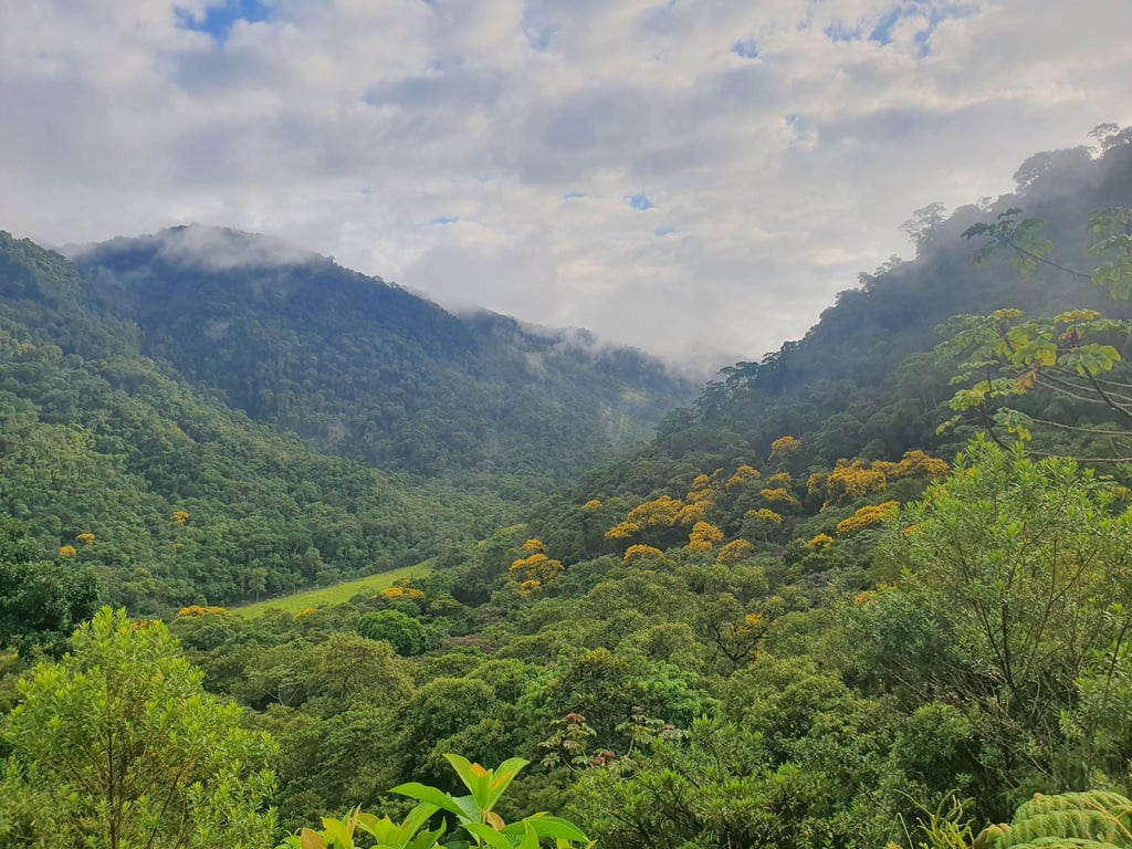 Montanhas do Parque Nacional da Serra da Bocaina ao entardecer, com vegetação da Mata Atlântica e névoa
