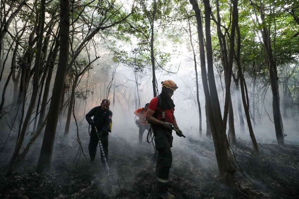 Agentes ambientais em atividade de campo na Amazônia