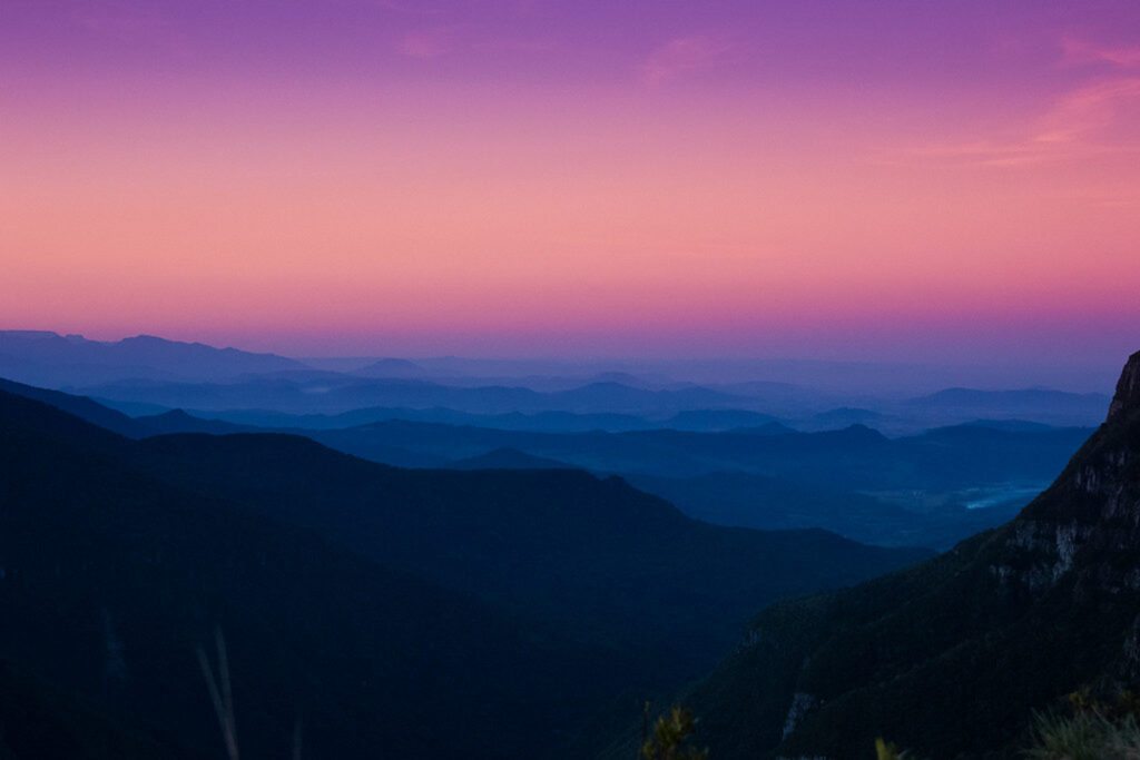 Estrada serrana com araucárias ao entardecer, luz dourada sobre os campos ondulados da Serra Catarinense.