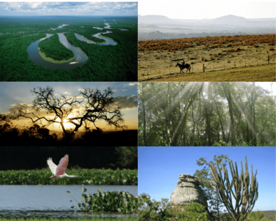 Paisagem natural da região do Araguaia, em Mato Grosso, com rio e vegetação de Cerrado ao entardecer (imagem ilustrativa)