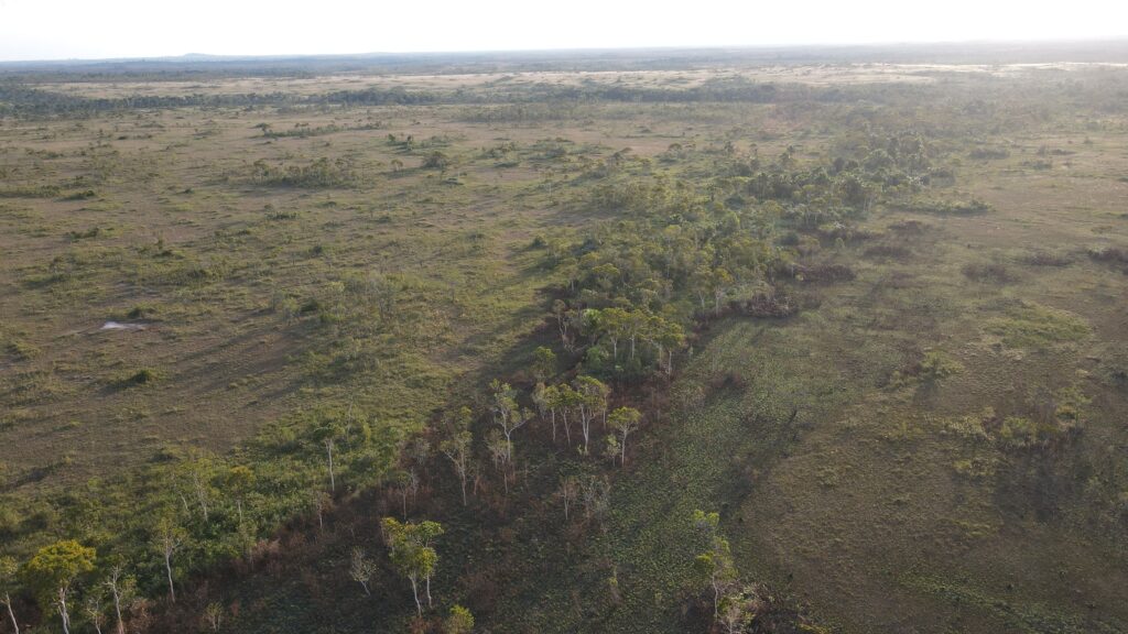 Paisagem ampla do Parque Nacional dos Campos Amazônicos ao pôr do sol, com veredas e cerrado-amazônico visíveis.