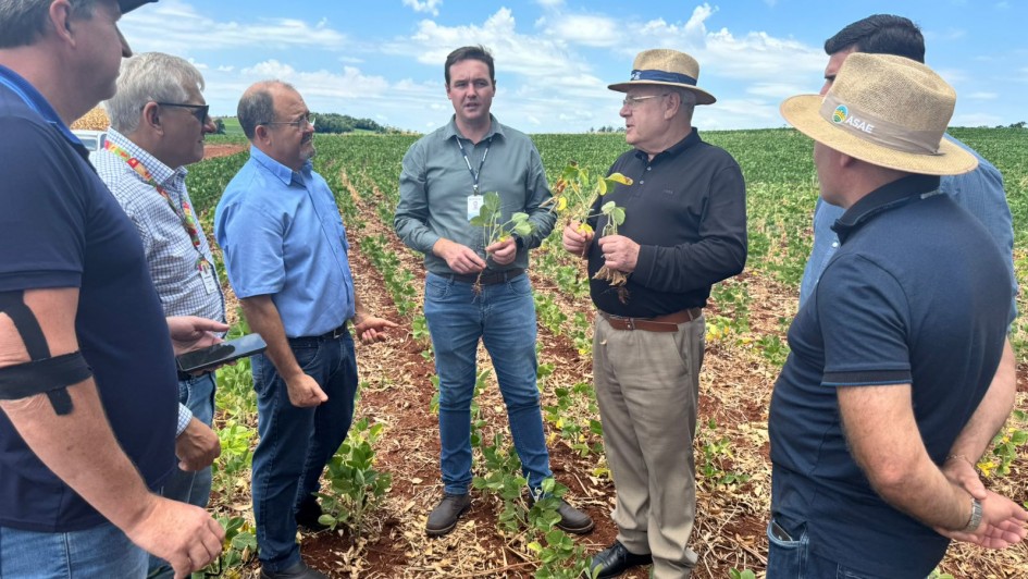 Paisagem rural do noroeste gaúcho com produtores em lavoura, céu aberto e relevo suave