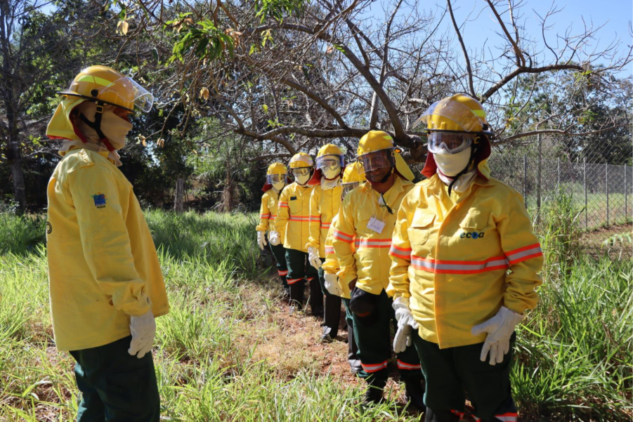 Brigadistas em treinamento de prevenção a incêndios