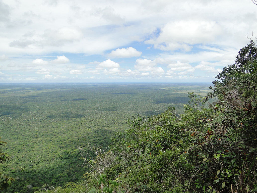 Mata Atlântica no sul da Bahia — Parque Nacional do Pau Brasil