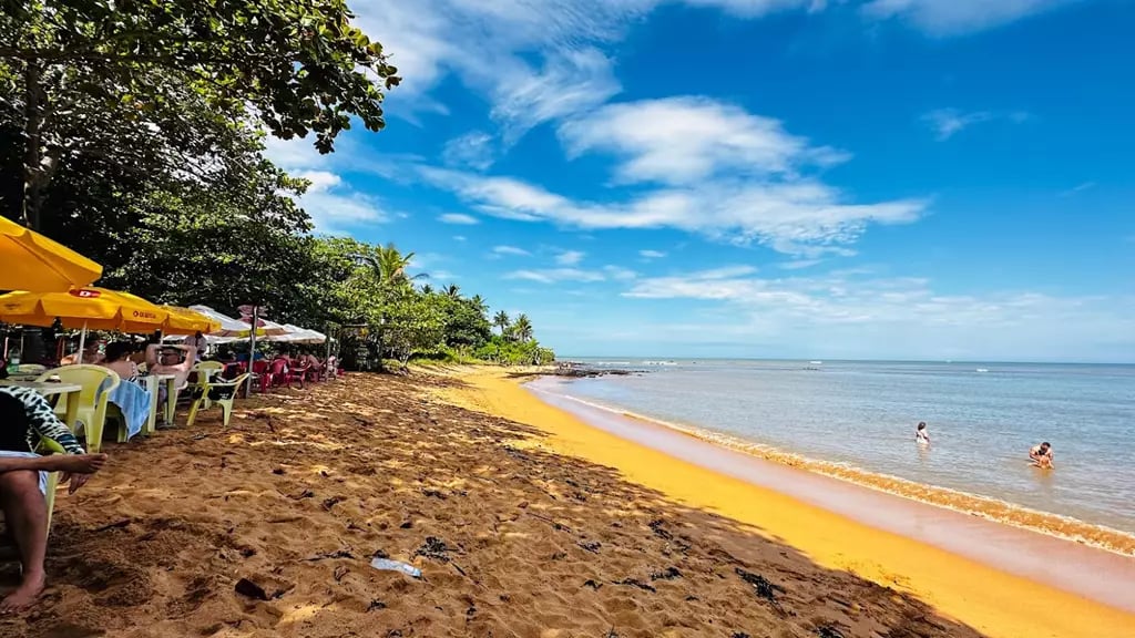 Praia em Aracruz ES, com vegetação de restinga e céu claro