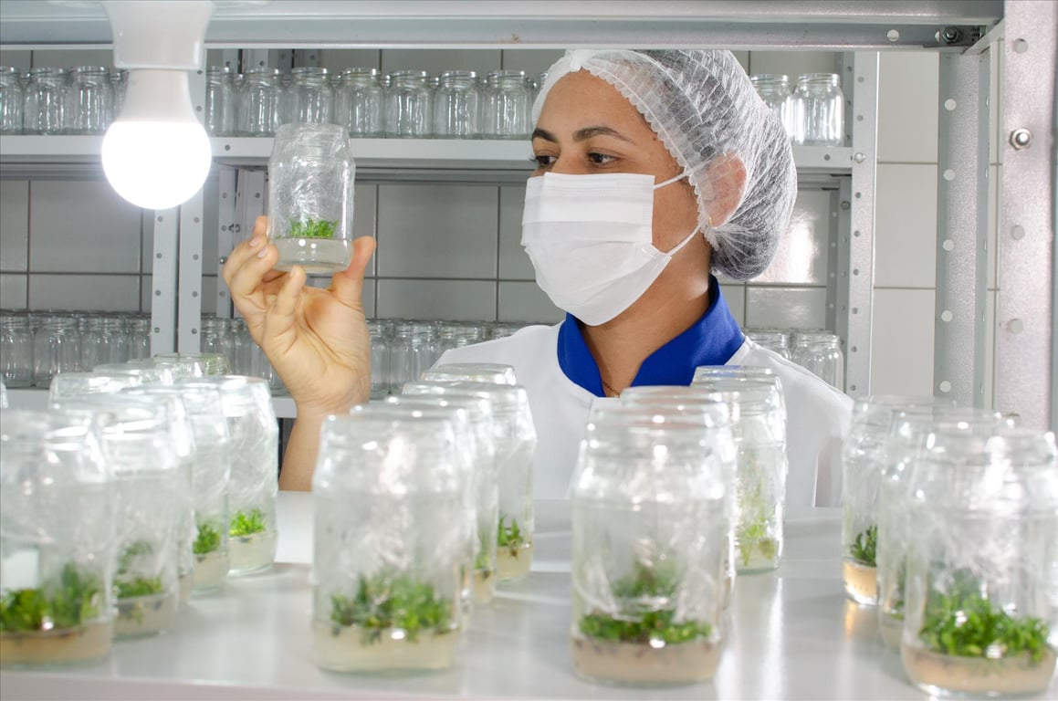 Pesquisa em laboratório de ciências agrárias e dados aplicados ao agro
