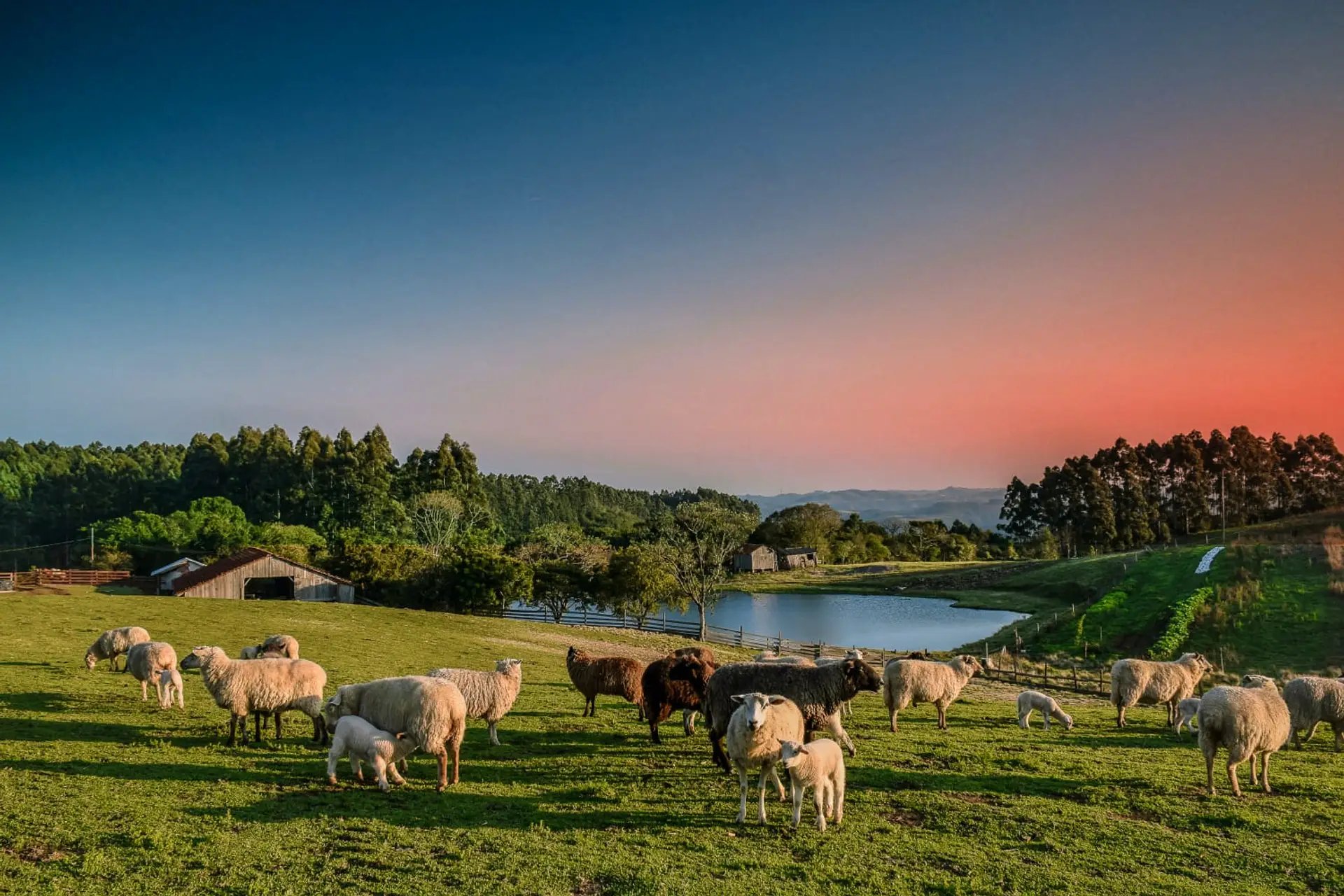 Paisagem rural do Vale do Rio Pardo vista a partir de Cerro Branco RS