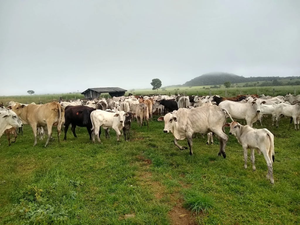Vista aérea de Confresa MT