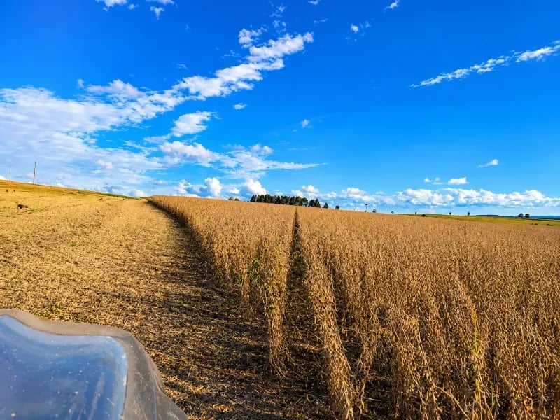Paisagem rural no Noroeste do Rio Grande do Sul, com lavouras e céu amplo, típica do interior gaúcho