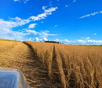 Paisagem rural típica do Noroeste gaúcho, região onde está São Valério do Sul RS.