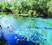 Paisagem natural em Rio Verde de Mato Grosso; crédito: Acqua Viagens.