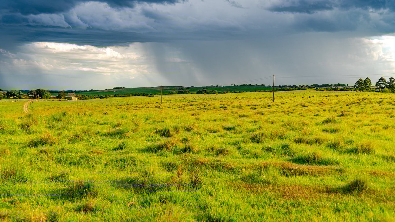 Paisagem do Pampa na região central do Rio Grande do Sul, com estrada vicinal ao entardecer