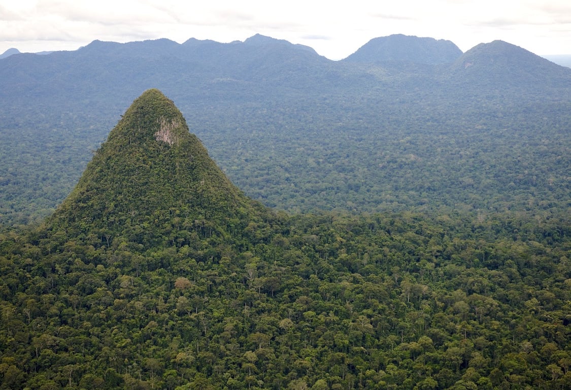Vista aérea da Mata Atlântica na região do Caparaó
